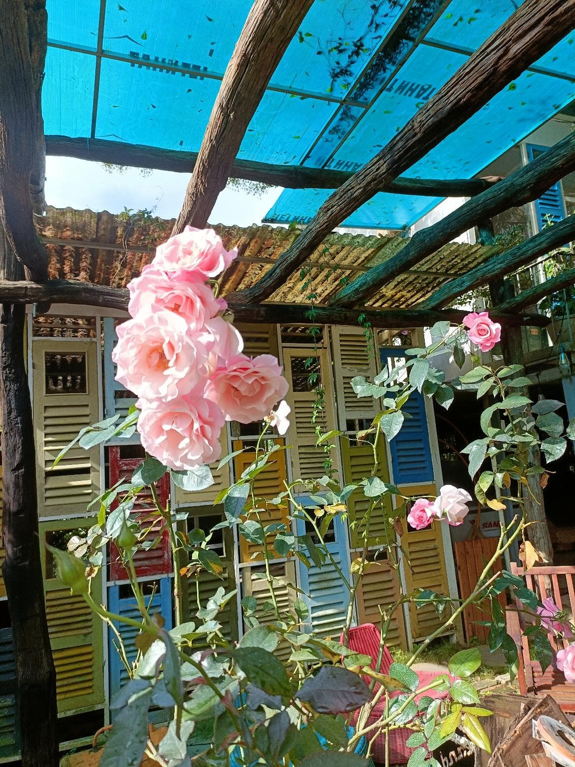 Lalaland Homestay photo 3