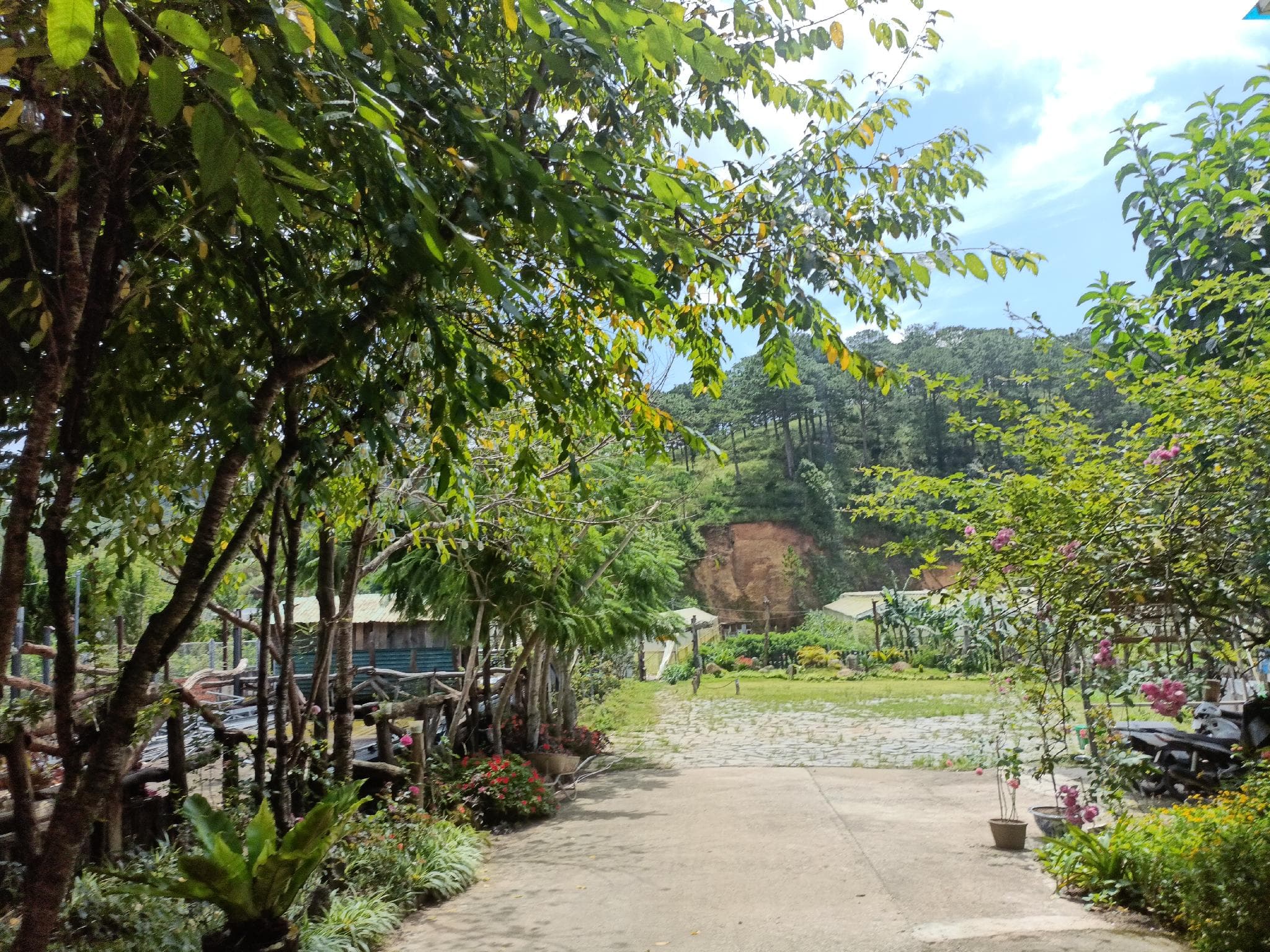 Lalaland Homestay photo 5