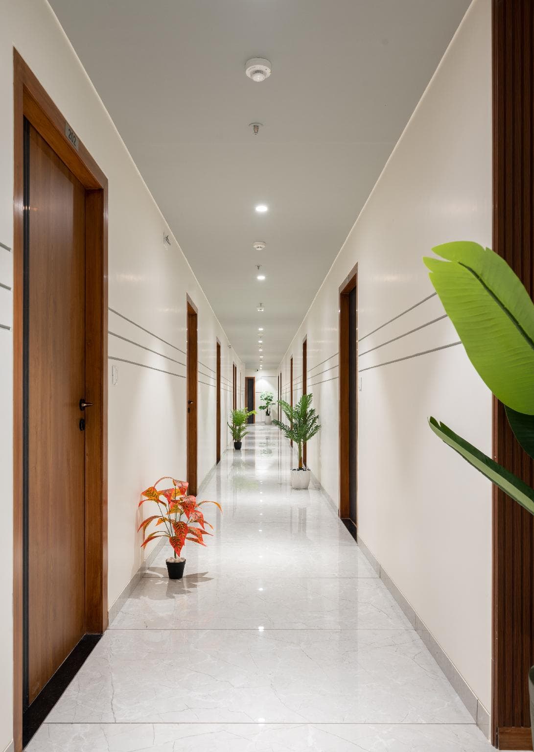 The Zuree Hotel photo 5