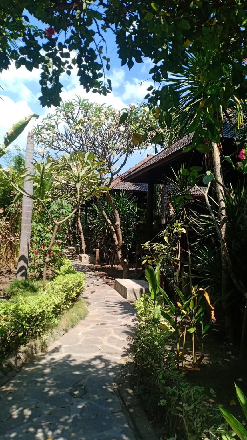 Turtle Garden Hotel photo 3