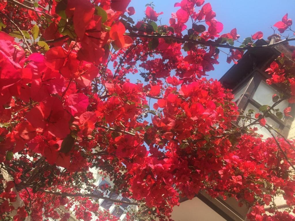 Alayaz Hotel photo 3