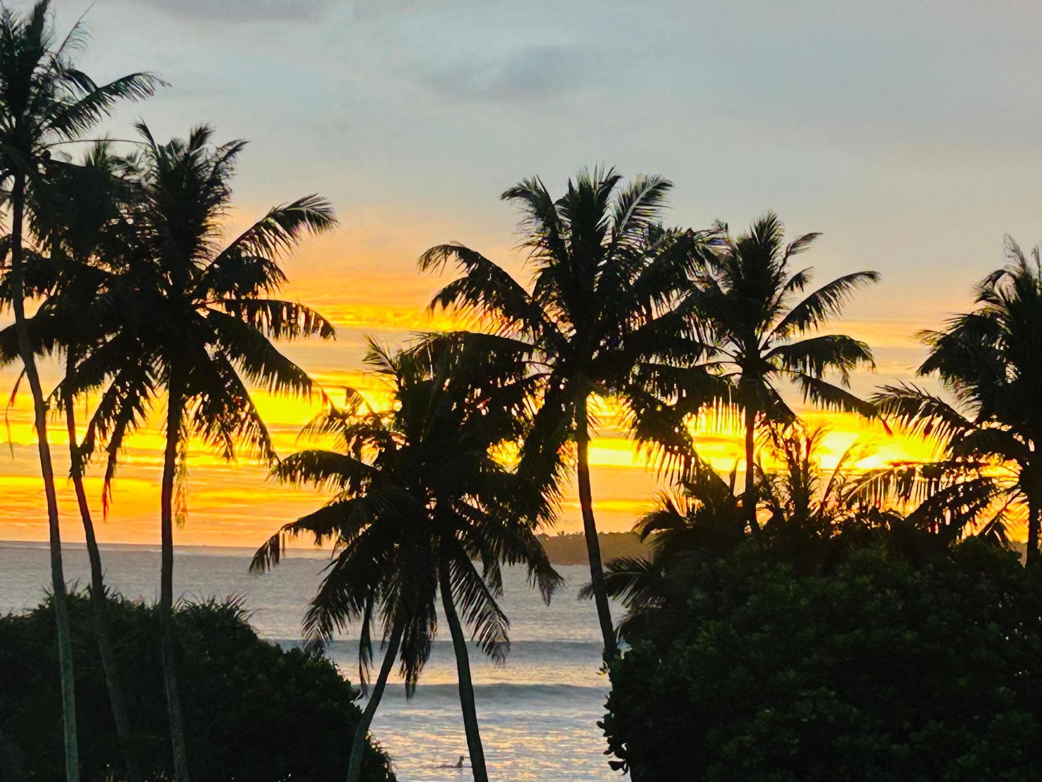 Mich's Surf Villa & Hostel photo 3