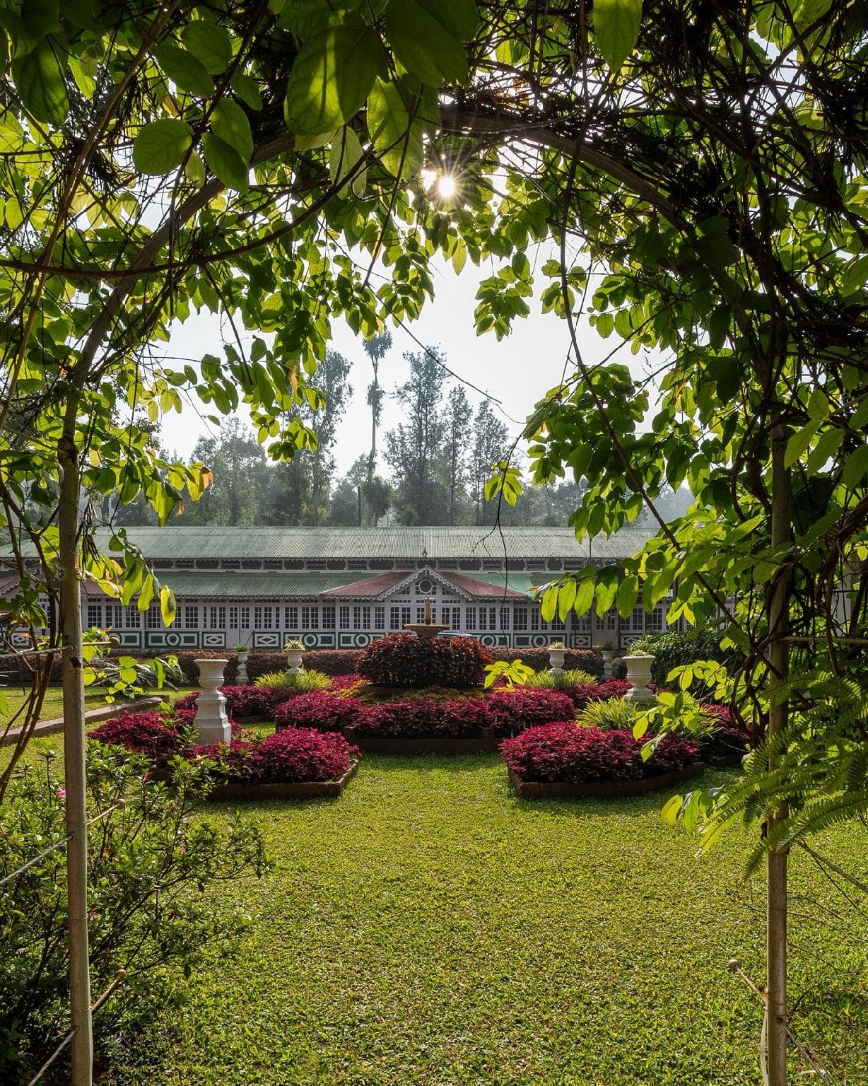IL Palazzo Heritage Resort photo 5