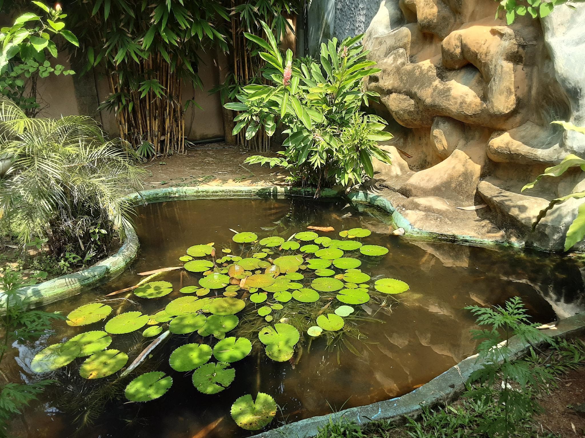 Pahalage Guesthouse photo 5