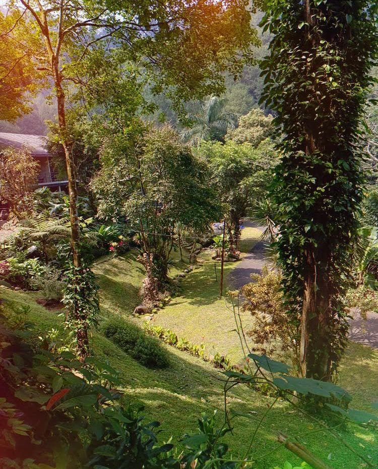 Habitat Hills by Santai Aja photo 3