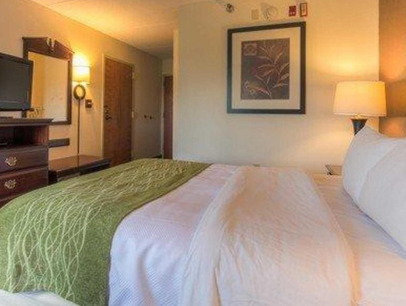 Comfort Inn Chattanooga Downtown Southside photo 5
