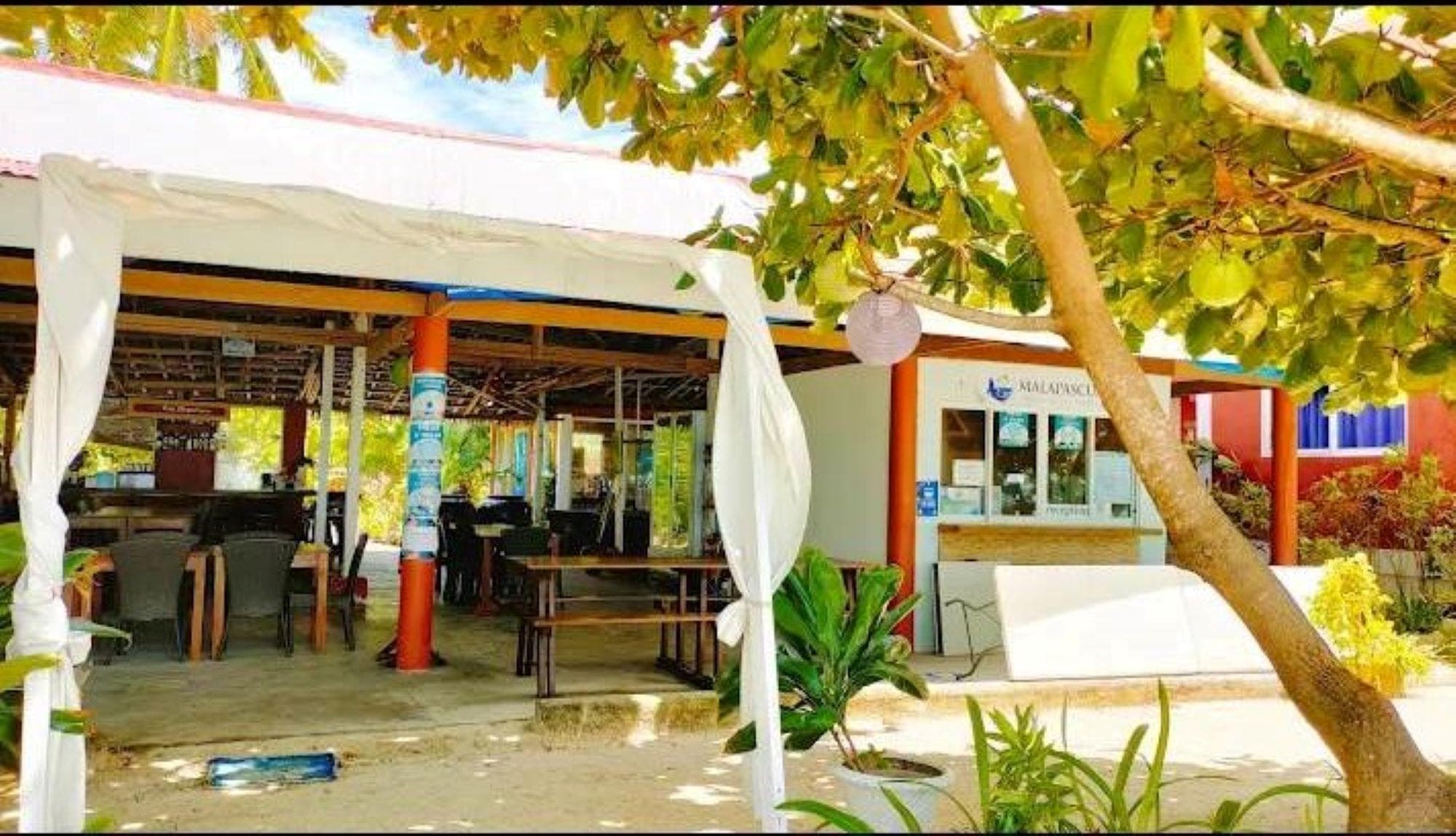 Malapascua Beach & Dive Resort photo 4