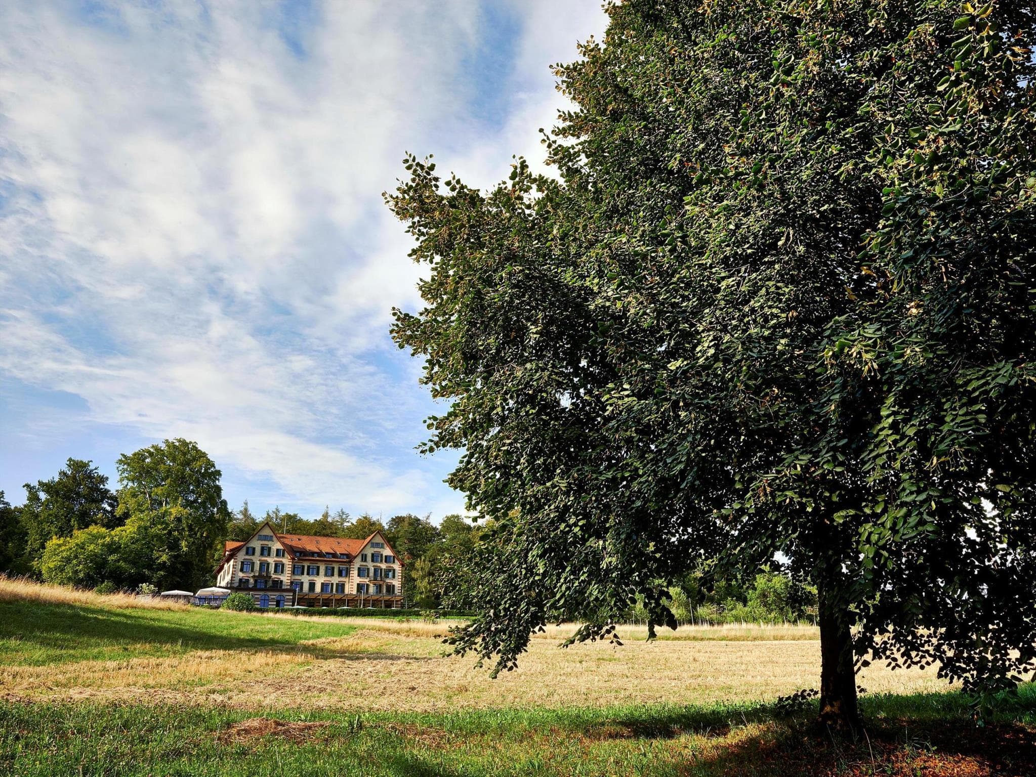 Sorell Hotel Zurichberg photo 3