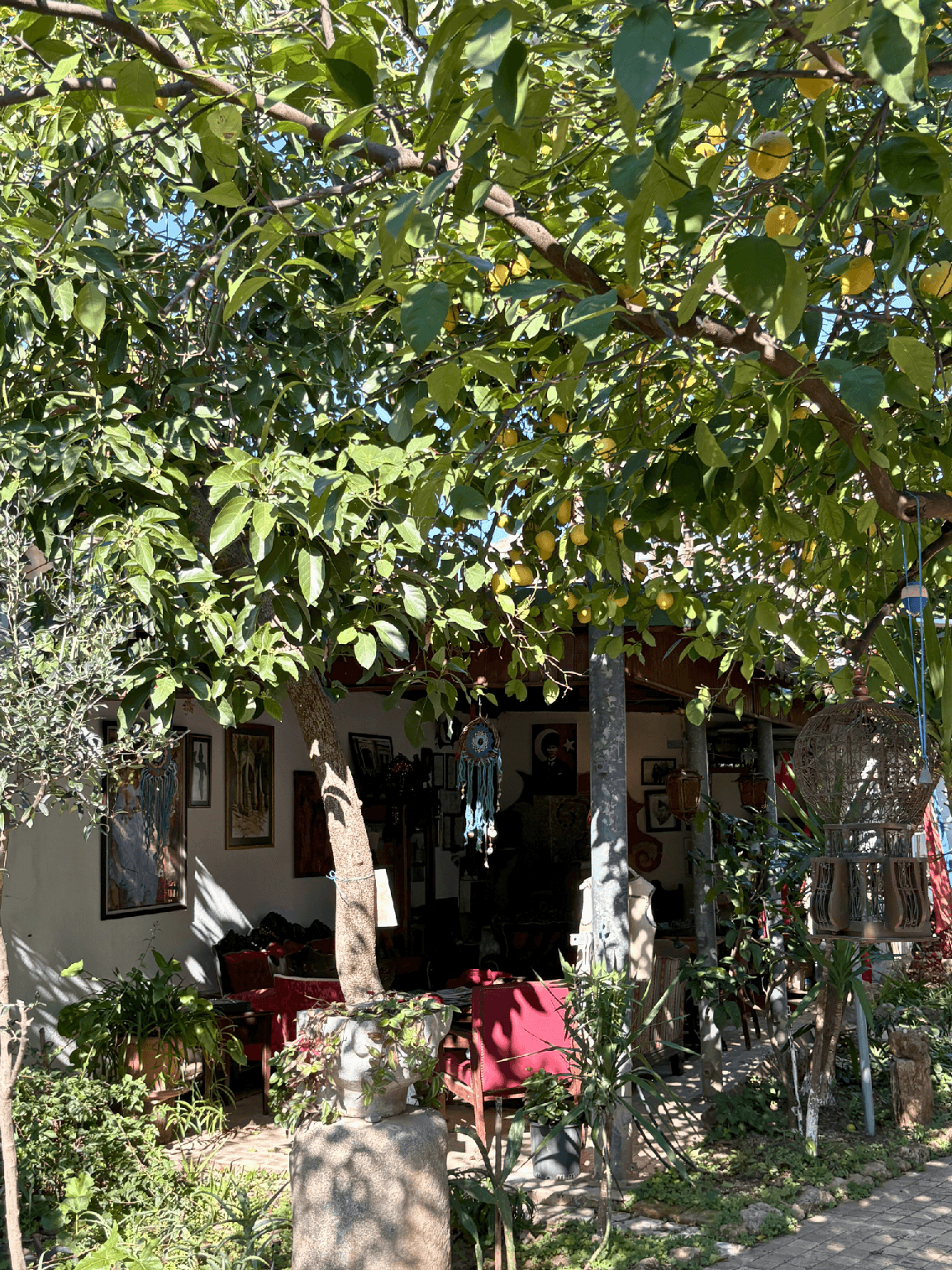 Hadrianus Hotel Kaleiçi photo 4