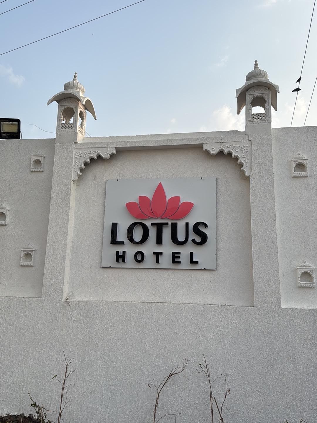 Lotus hotel photo 5
