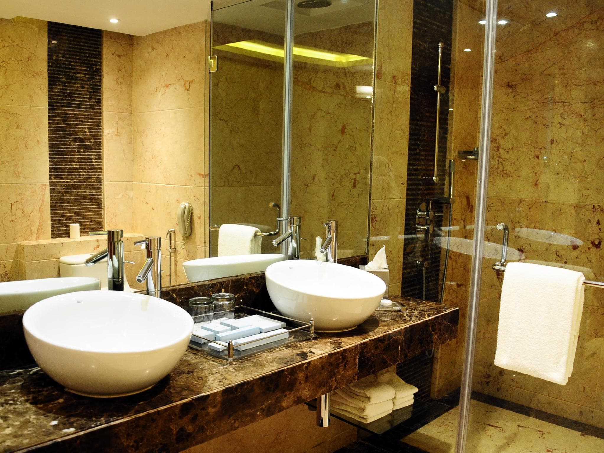 Radisson Blu Plaza Delhi Airport photo 2
