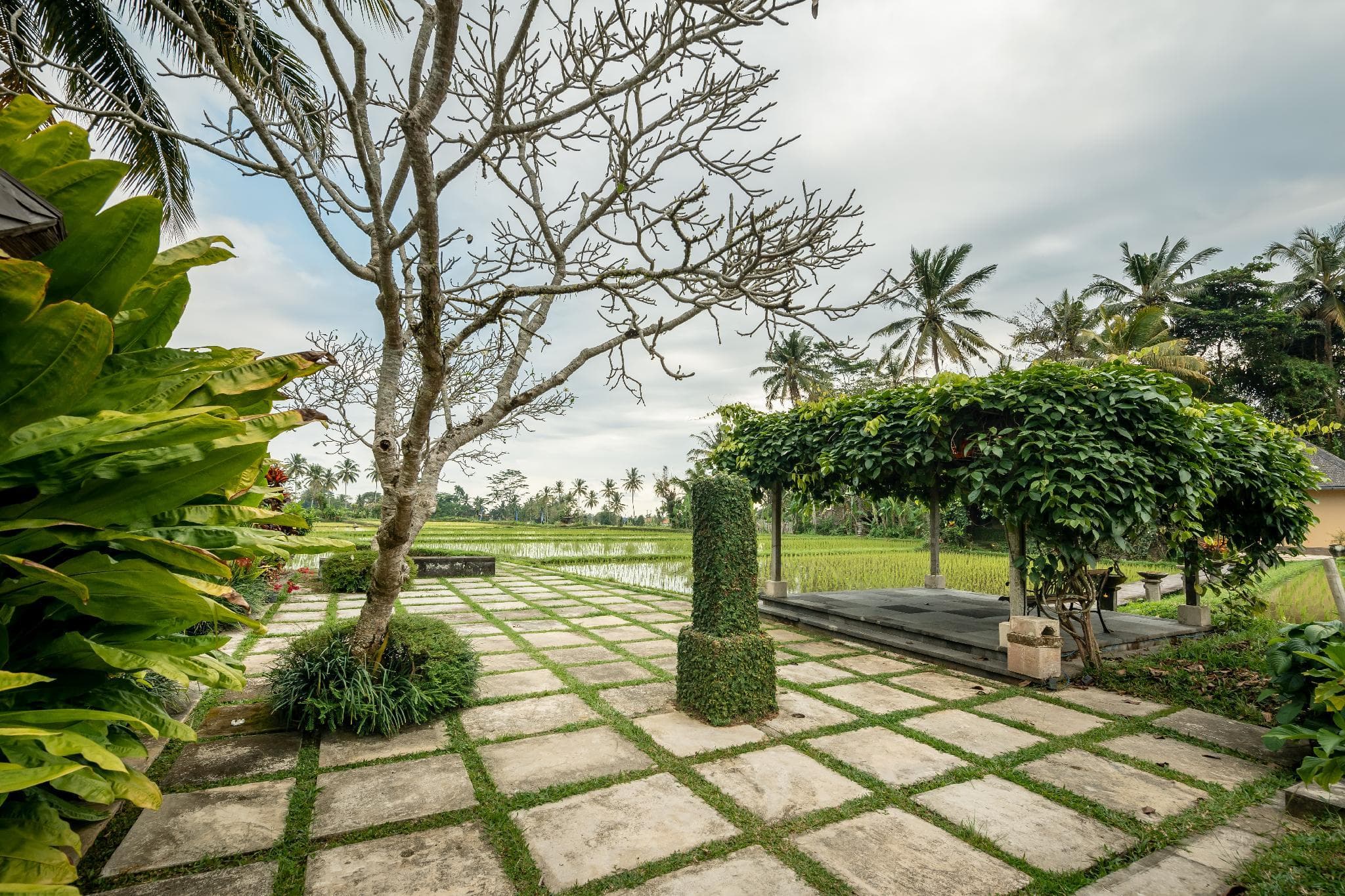Villa Vajra photo 5