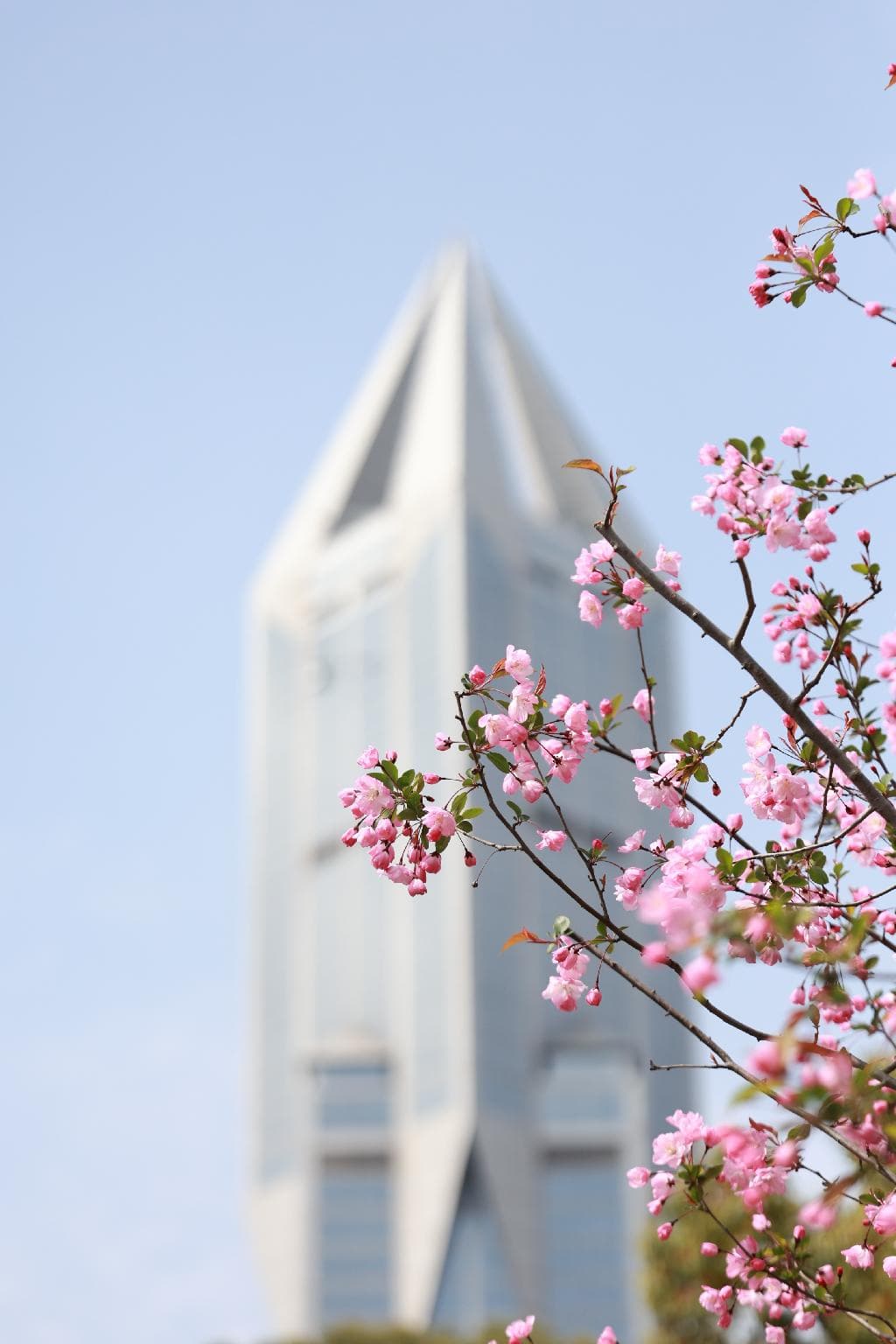 JW Marriott Hotel Shanghai at Tomorrow Square photo 3