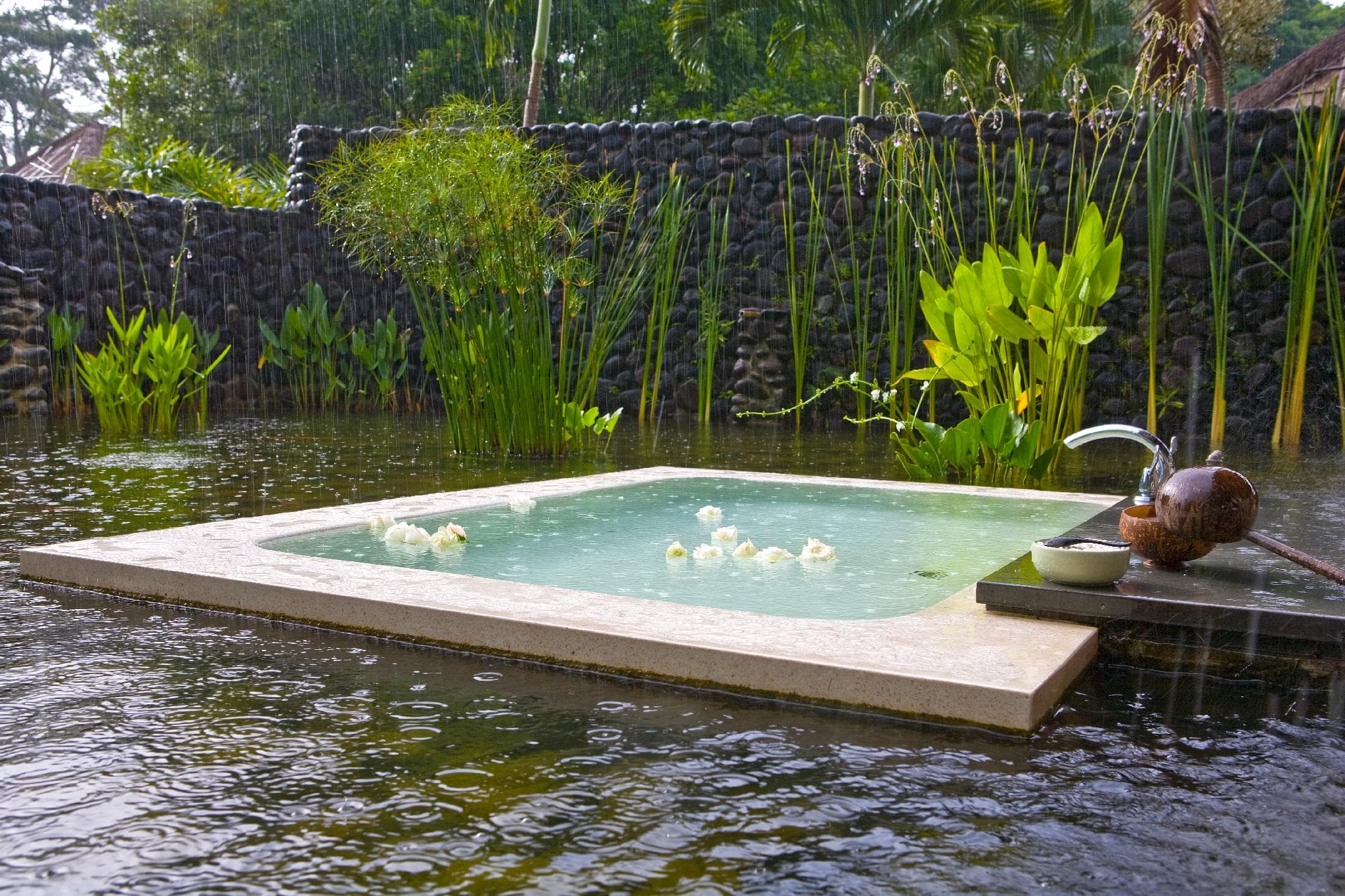 Alila Ubud photo 3