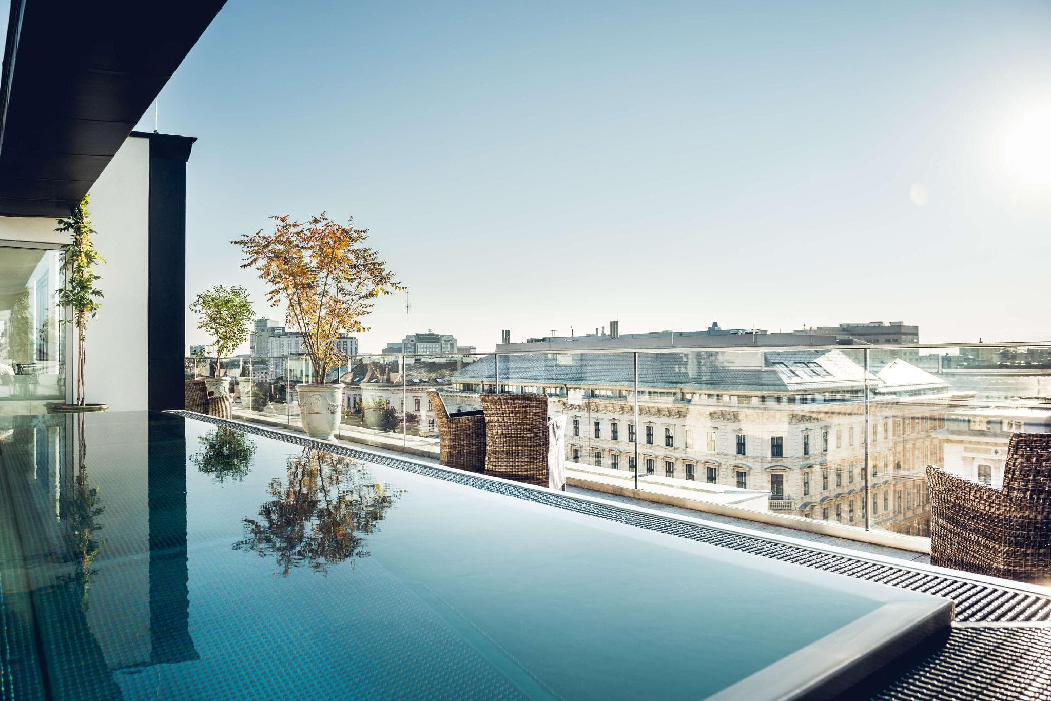 Grand Ferdinand - Beyond Stars and Standards photo 5
