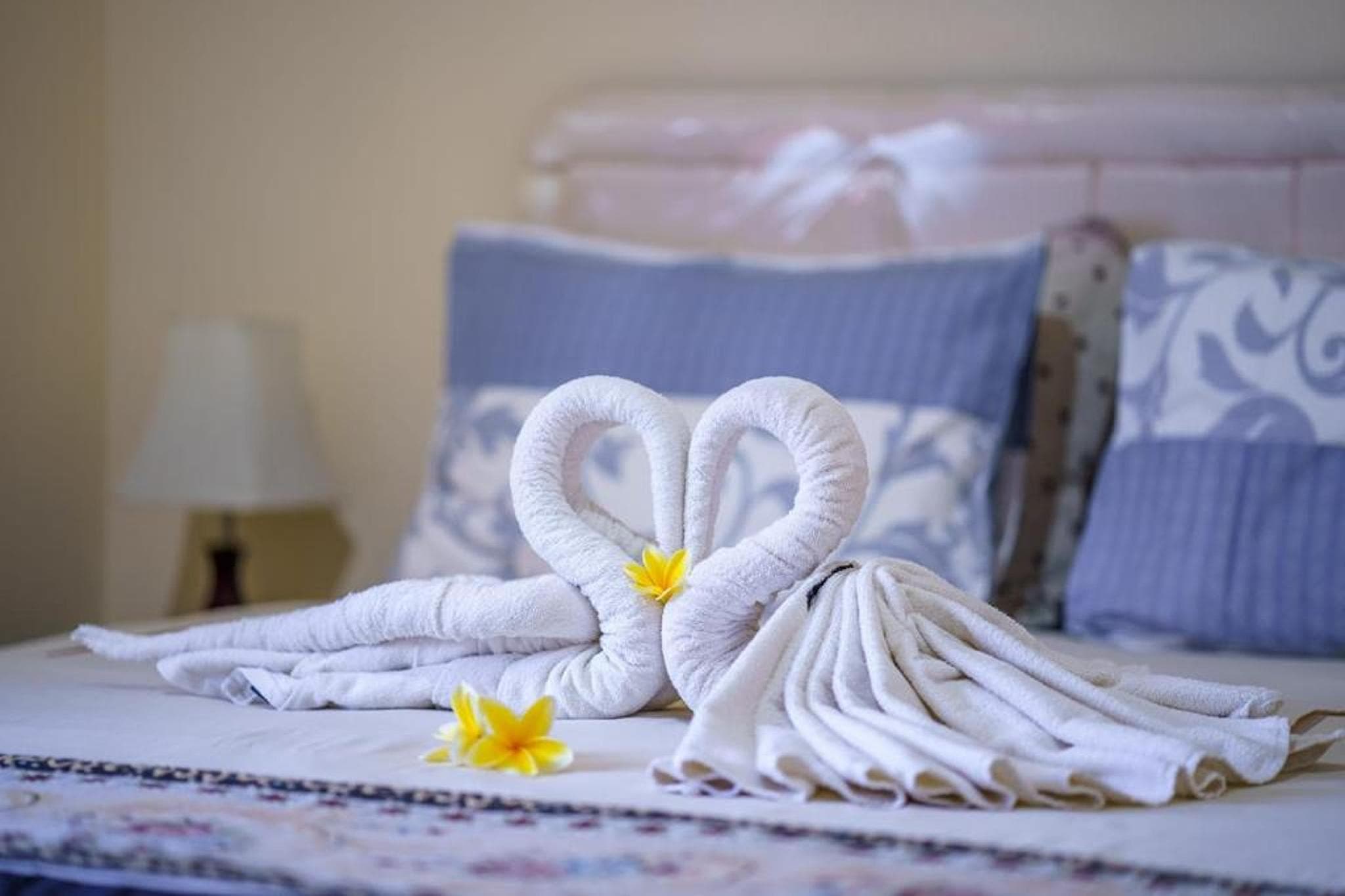 Whiterose Guesthouse photo 2