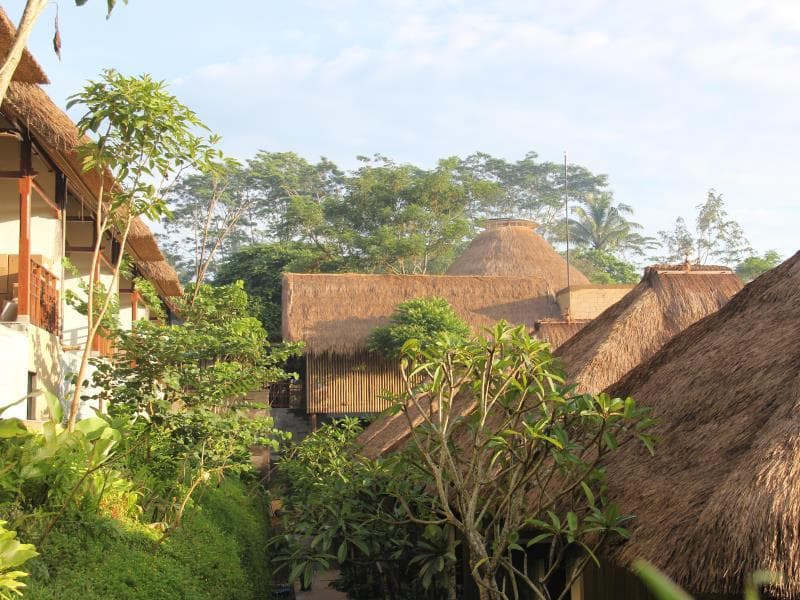 Tejaprana Resort and Spa photo 4