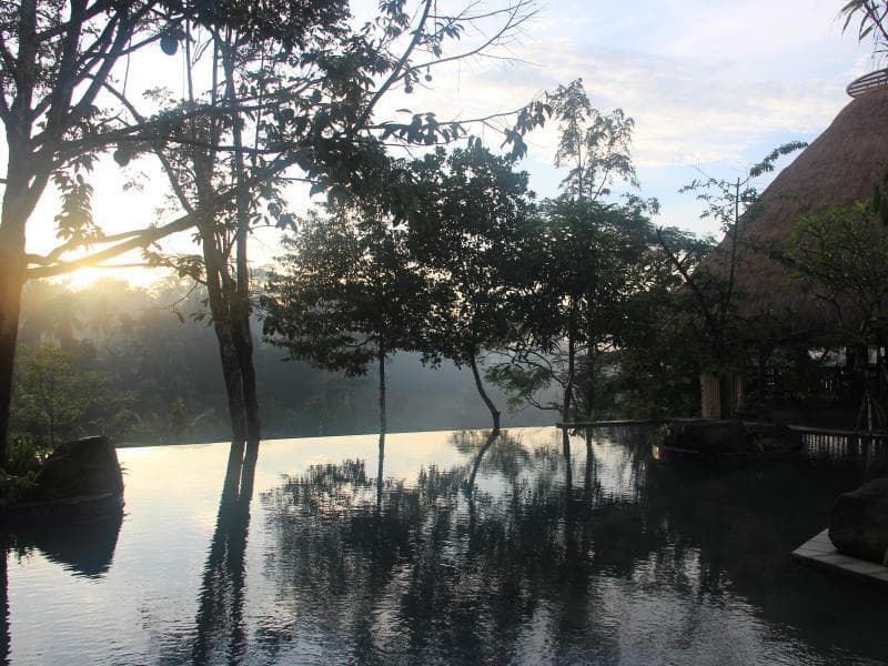 Tejaprana Resort and Spa photo 5
