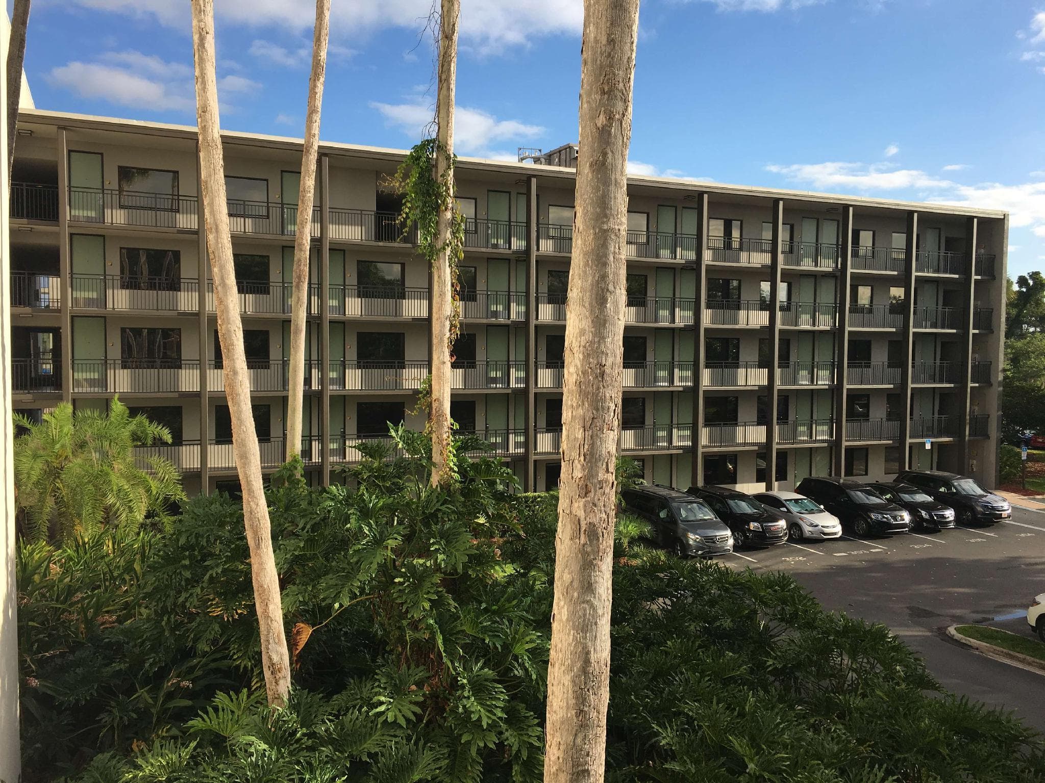Wyndham Garden Lake Buena Vista – Disney Springs® Area photo 5