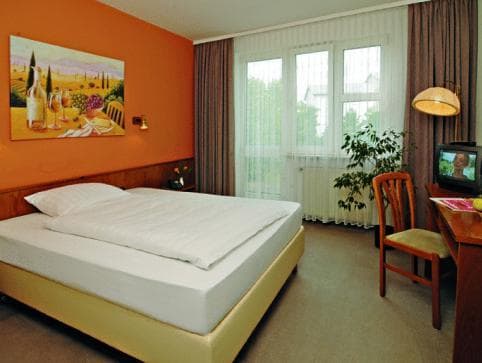 Hotel Alina photo 3