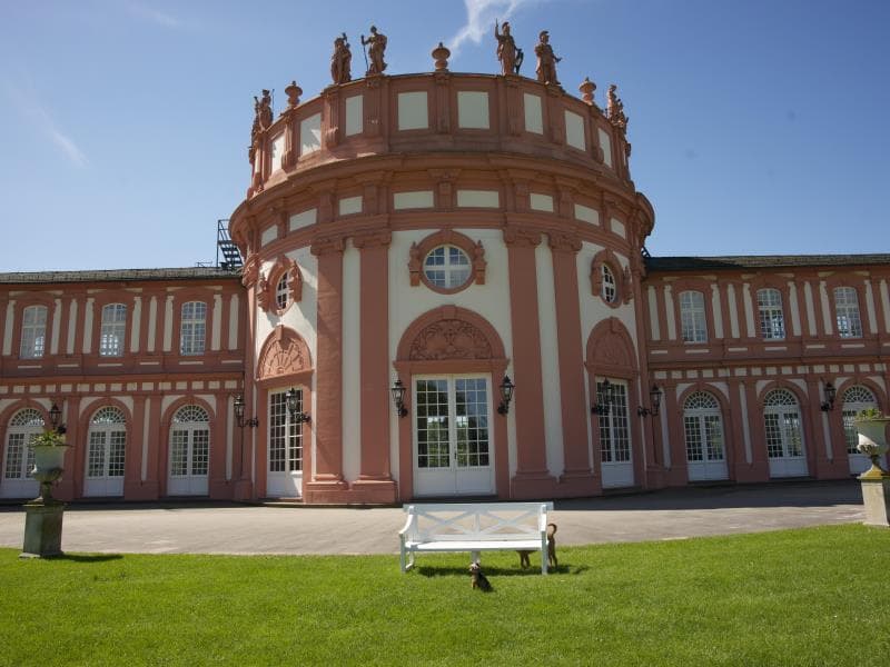 Hotel am Schlosspark photo 3