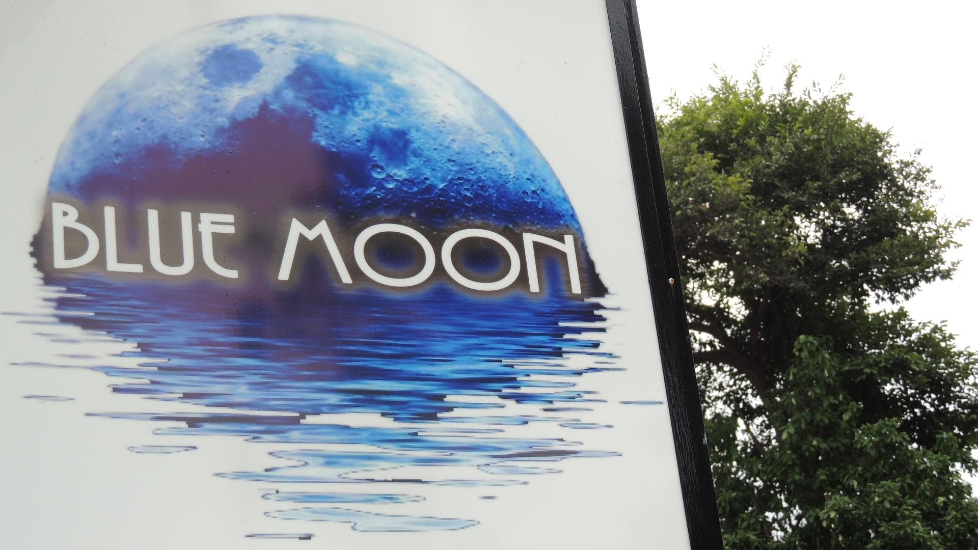 Blue Moon photo 4