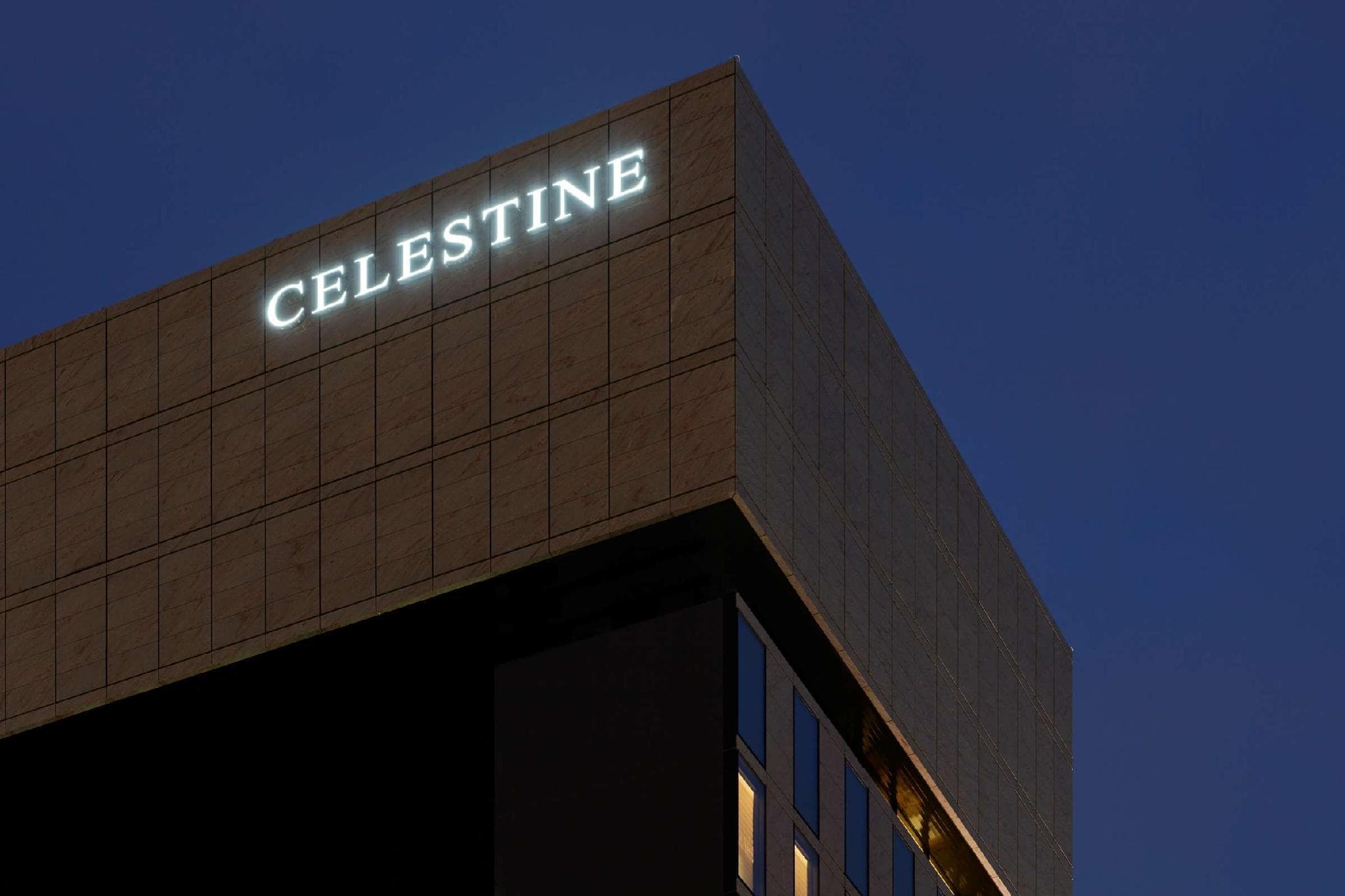 HOTEL THE CELESTINE GINZA photo 5