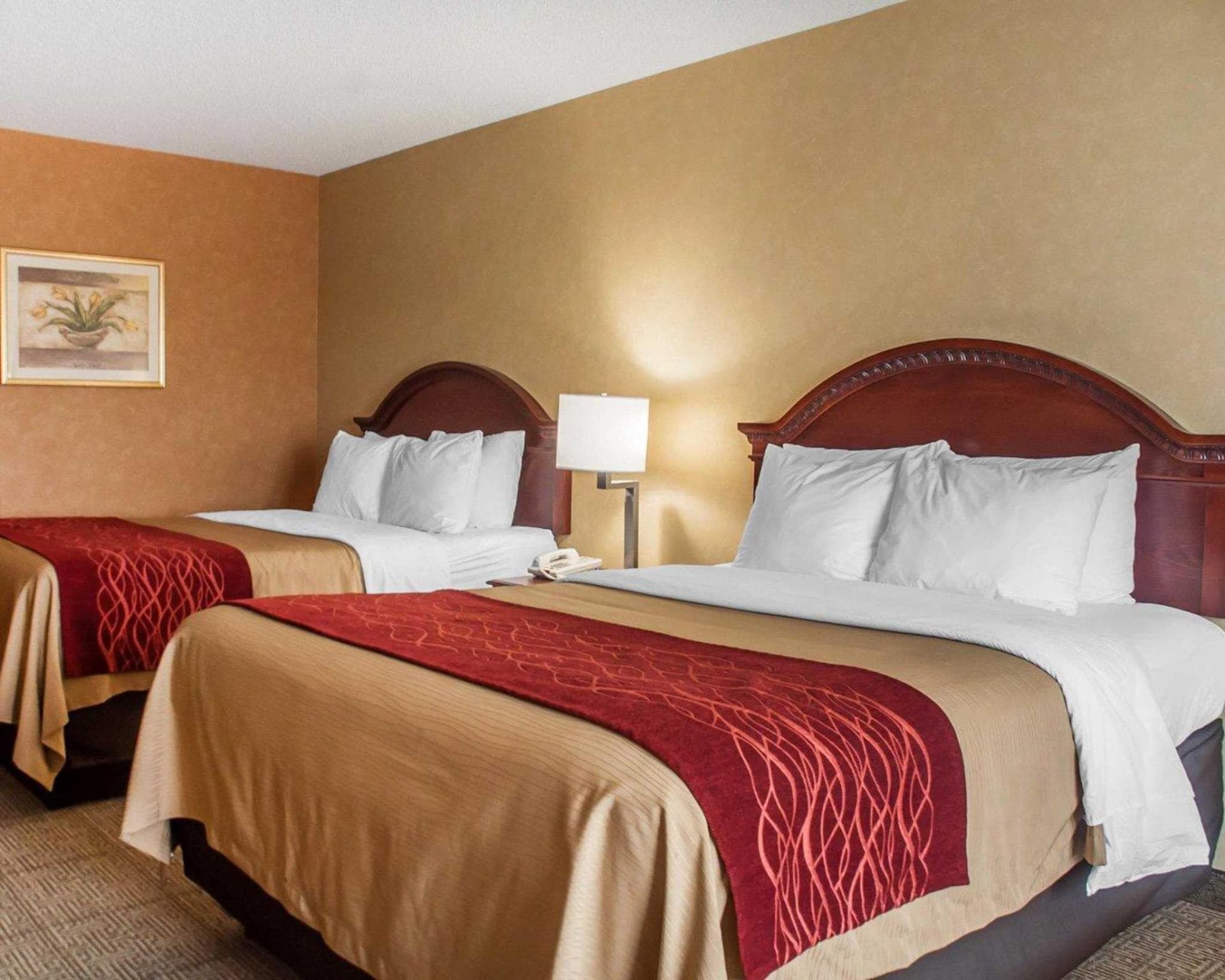 Quality Inn Near Walden Galleria Mall photo 2