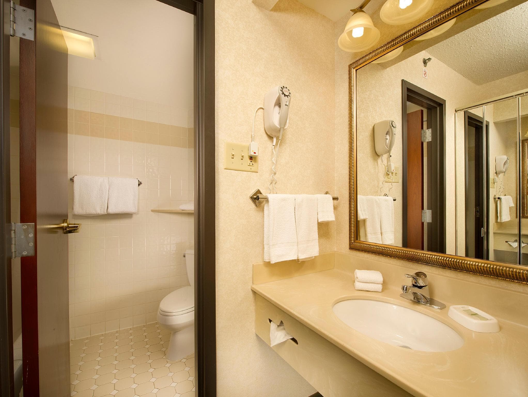 Drury Inn & Suites St. Louis Airport photo 2