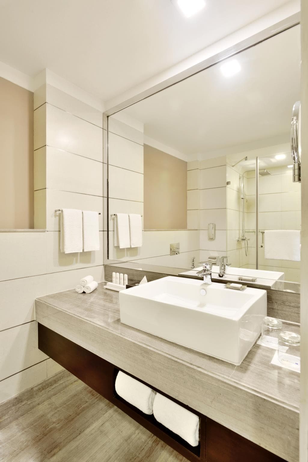 Radisson Blu Pune Hinjawadi photo 3