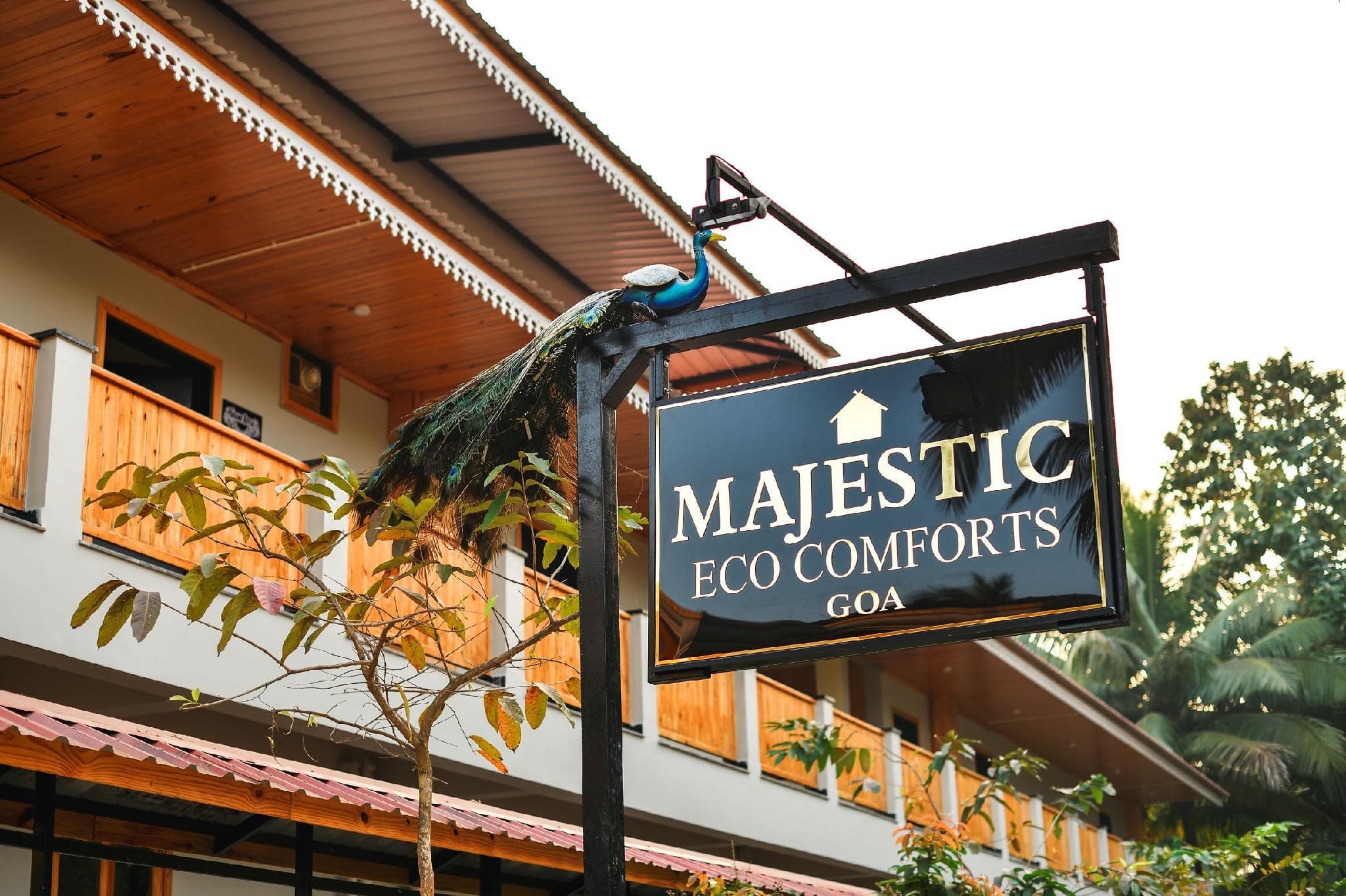 Majestic Eco Comforts photo 5