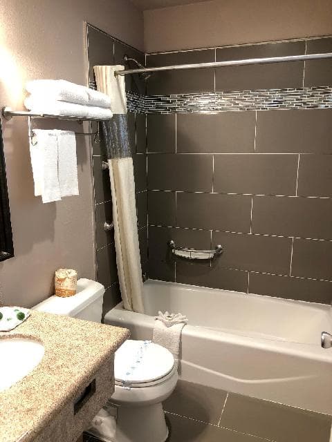 Alamo Inn and Suites - Convention Center photo 2