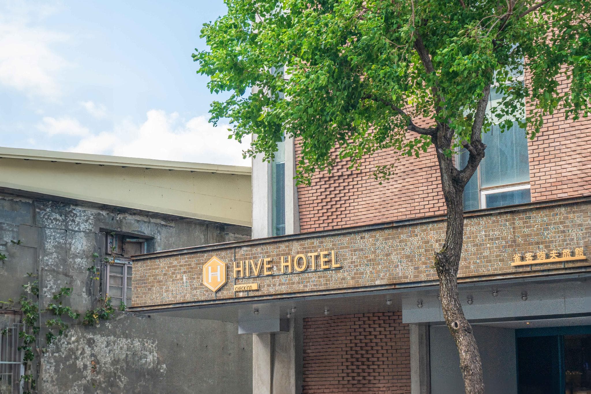 Check inn Hive