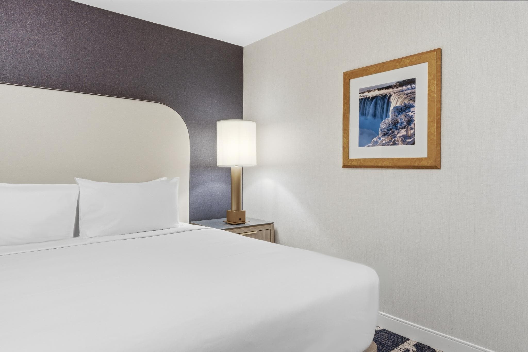 Hyatt Regency Niagara Falls Fallsview photo 2