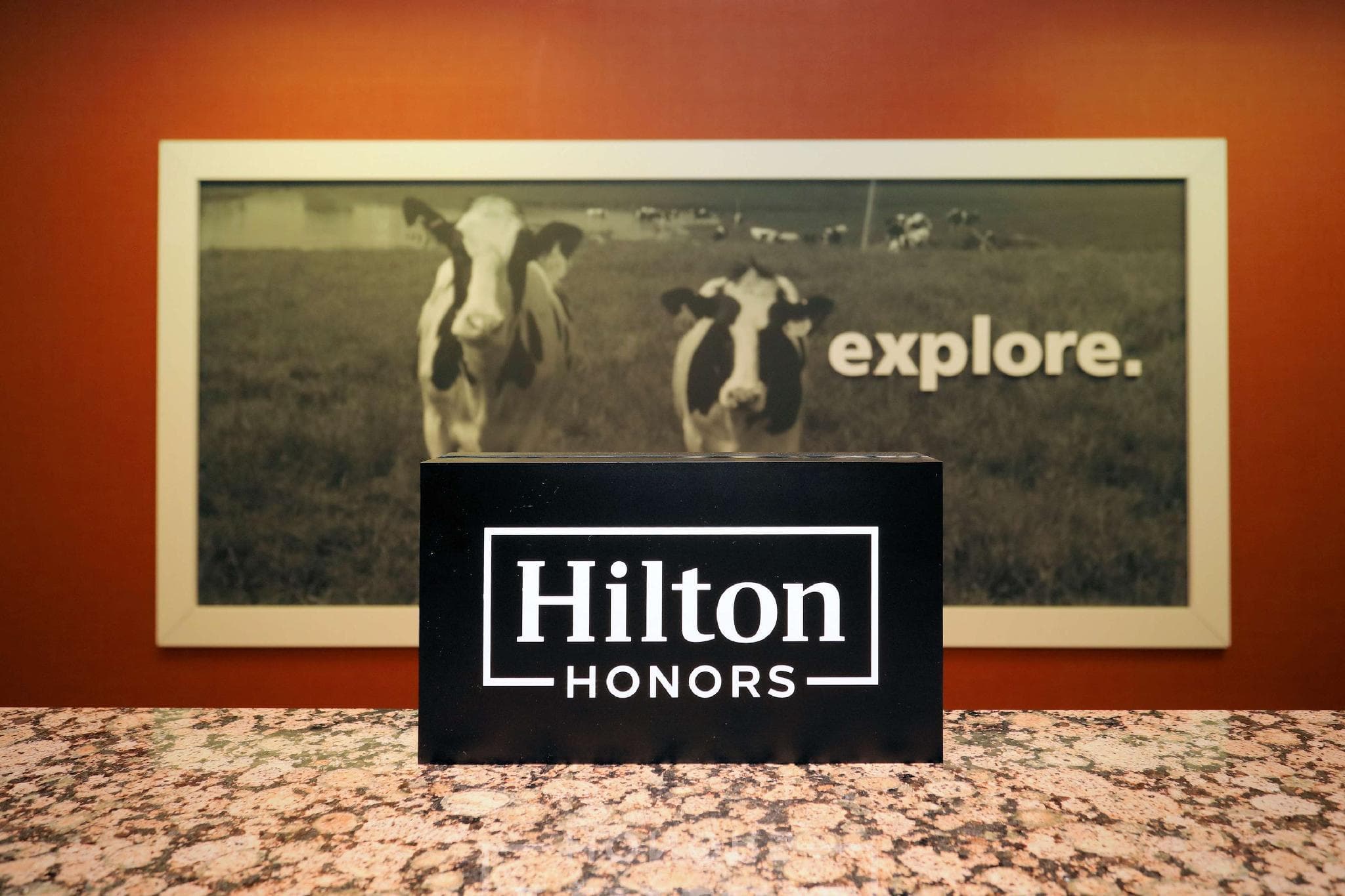 Hampton Inn Batavia photo 4