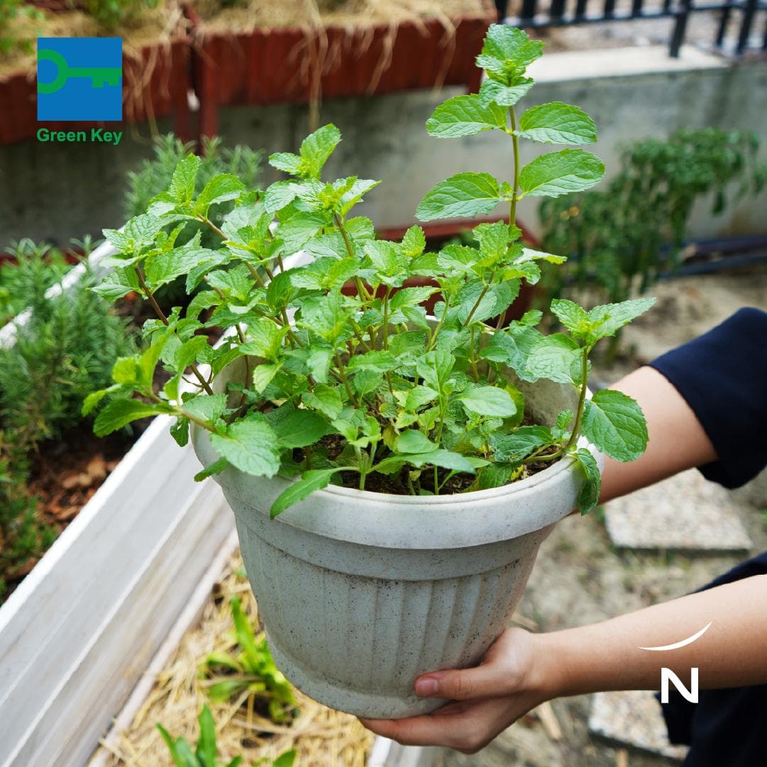 Novotel Bangkok Future Park Rangsit photo 5