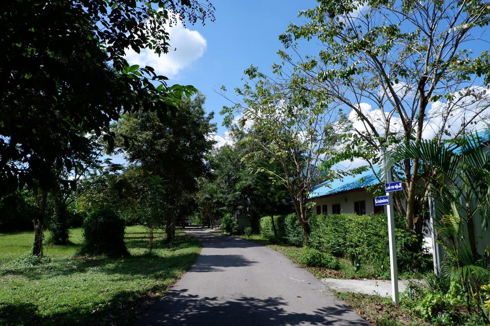 Commonwealth Hotel and Resort photo 4