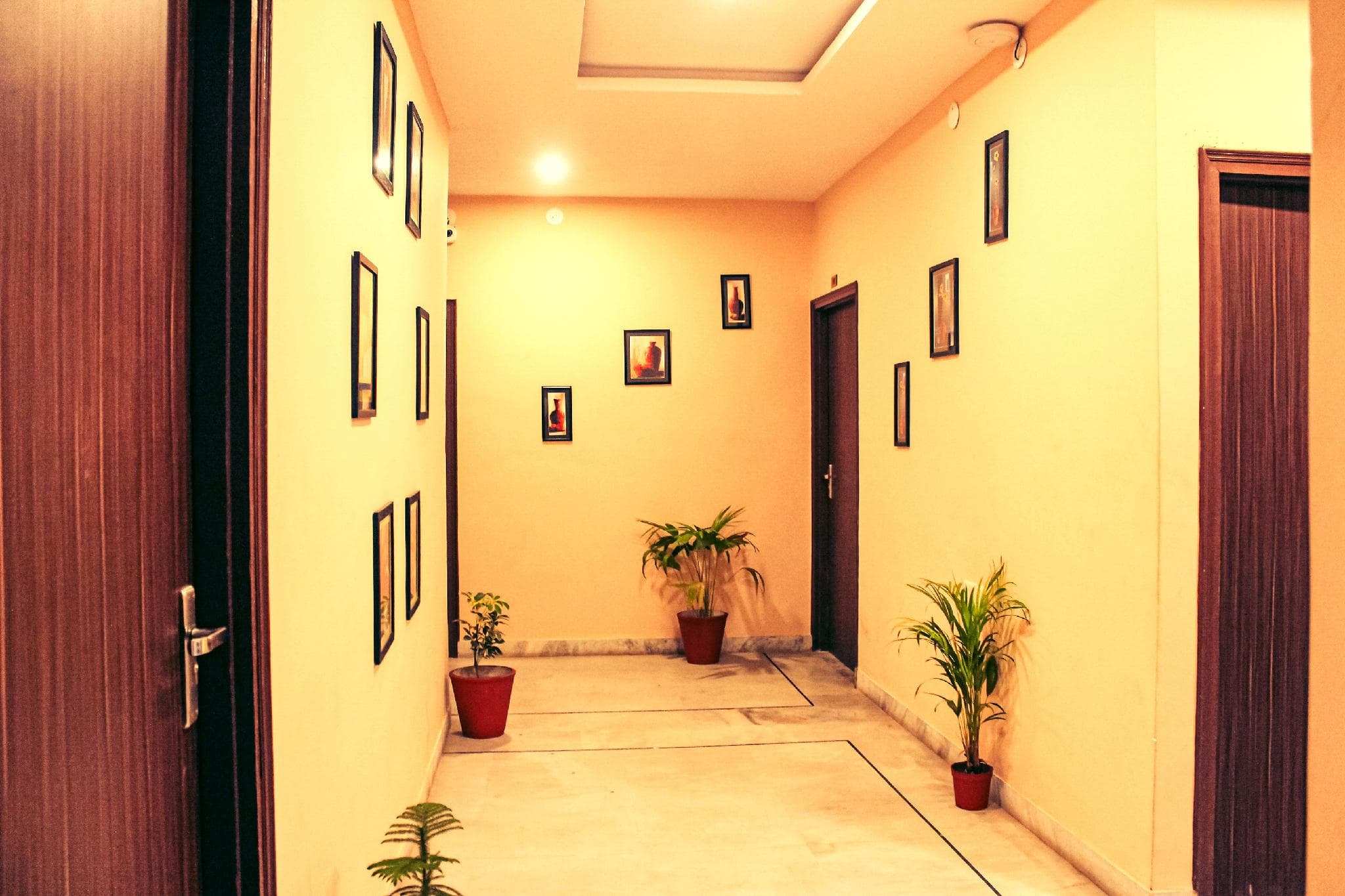 Tripli Udaipur photo 5