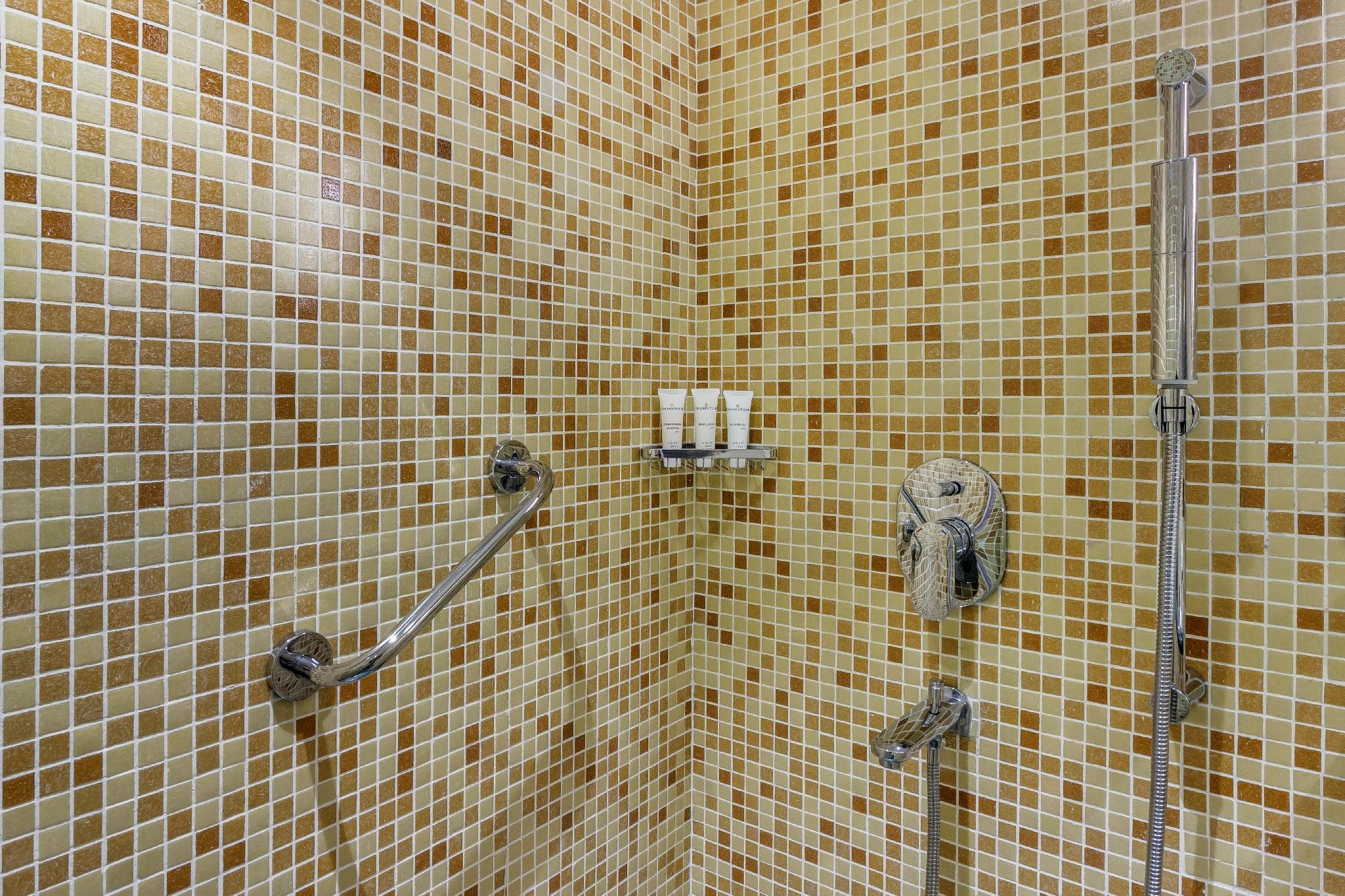 Golden Tulip New Delhi - Hari Nagar photo 5