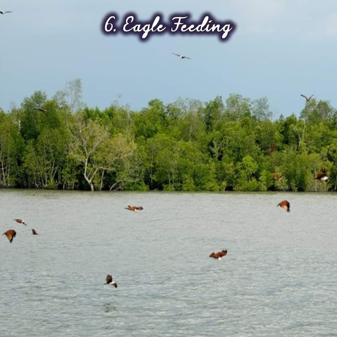 Sea Lion Hotel @ Pulau Ketam photo 5