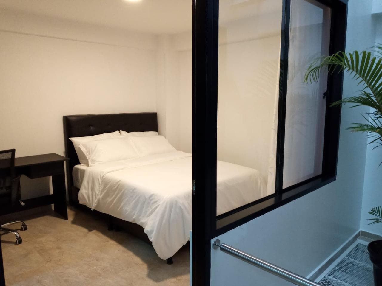 Hotel Casa Levy photo 3