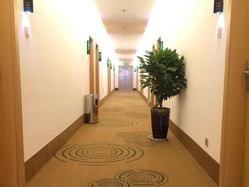 GreenTree Inn Baoding Baiyangdian Express Hotel photo 3