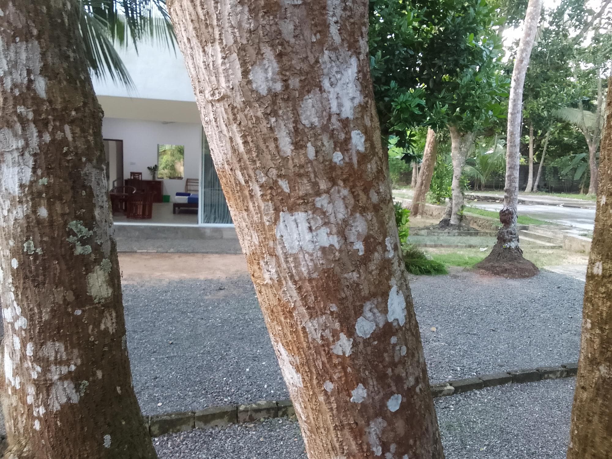 Savendro photo 2