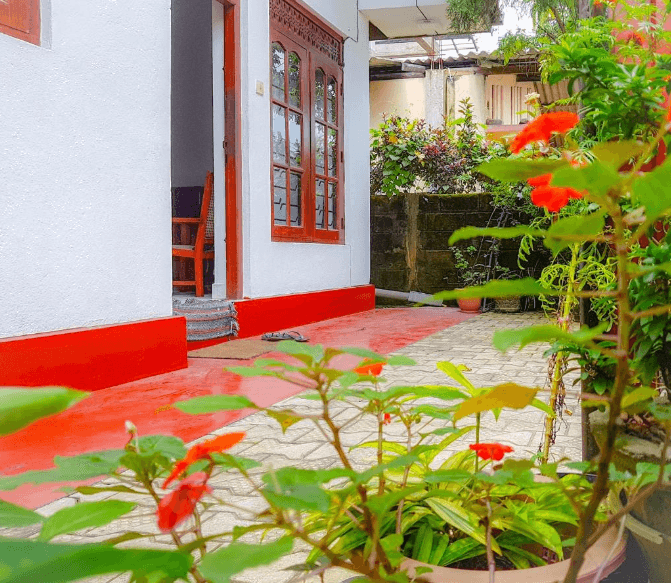 Hikkaduwa backyard beach homestay photo 2