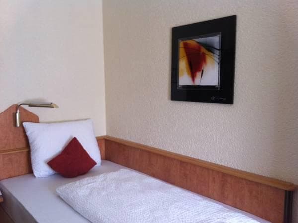 Hotel Stadt Heidelberg photo 5