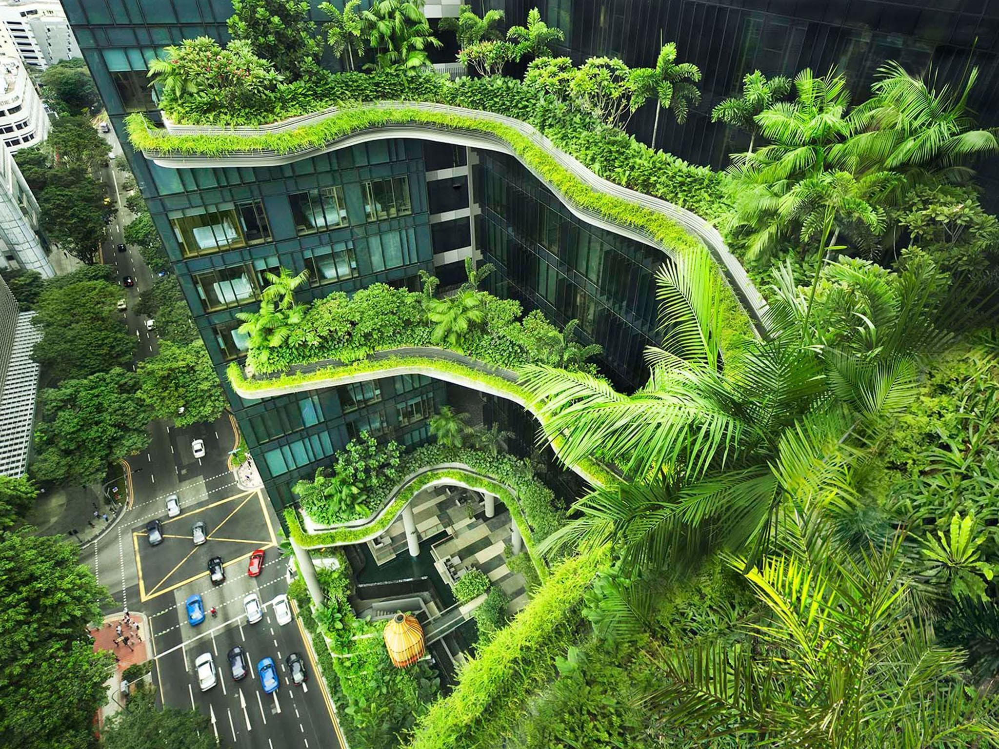 PARKROYAL COLLECTION Pickering, Singapore photo 5
