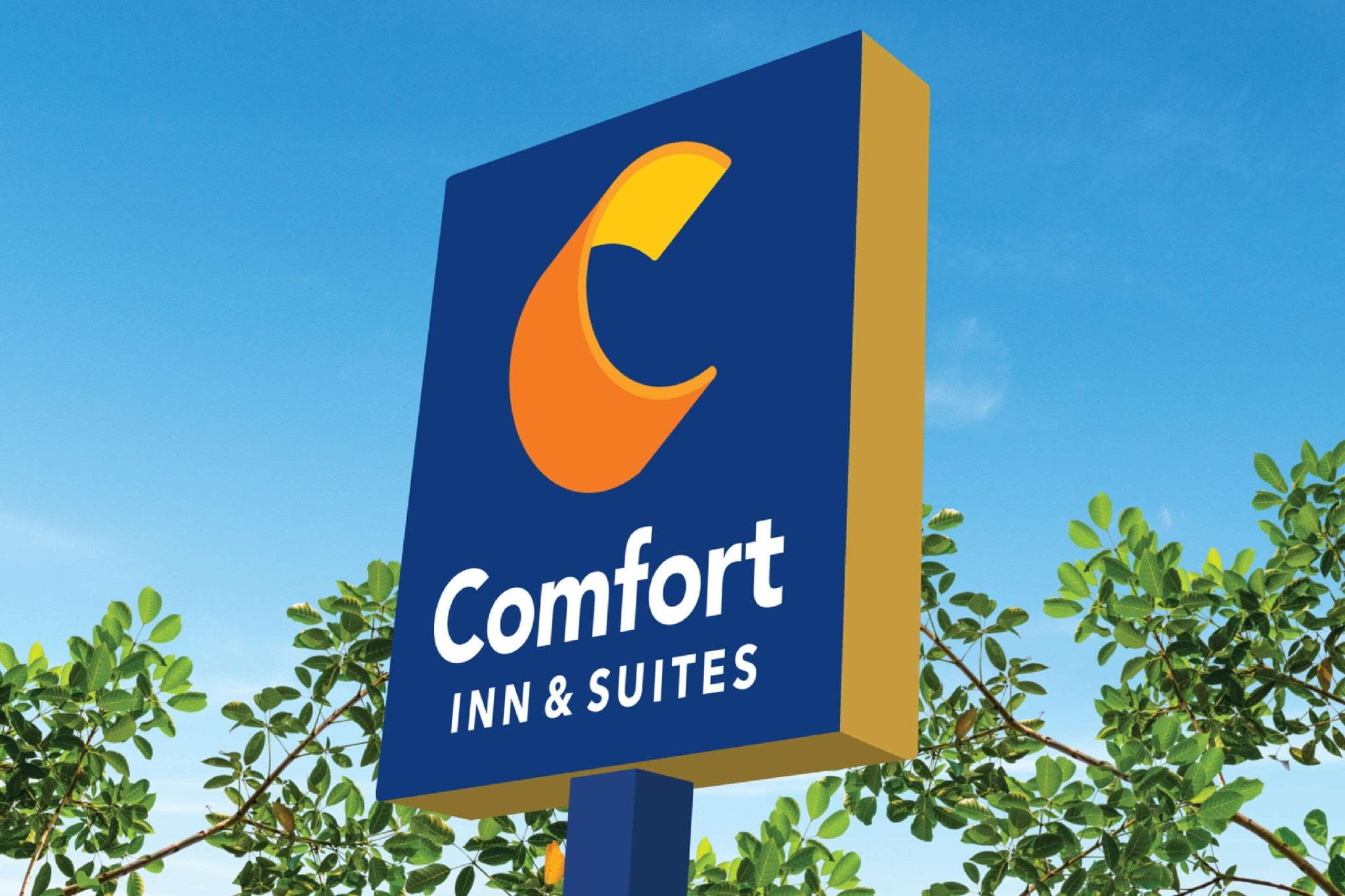 Comfort Inn & Suites Rome South photo 3