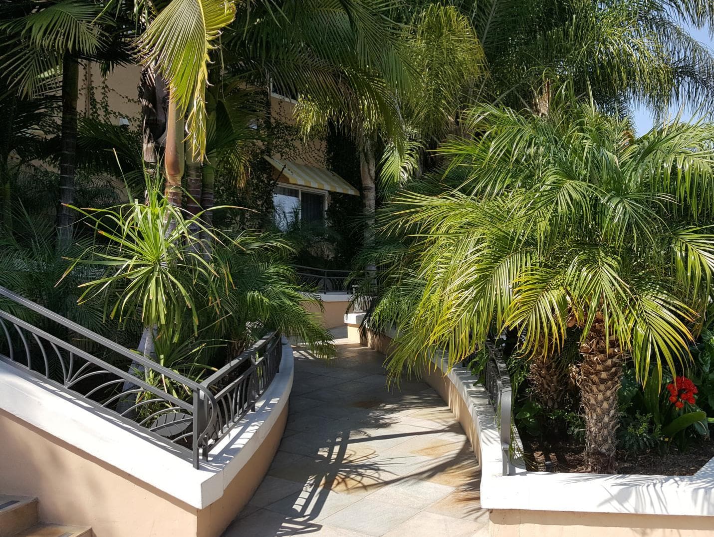 Hollywood Hotel photo 3