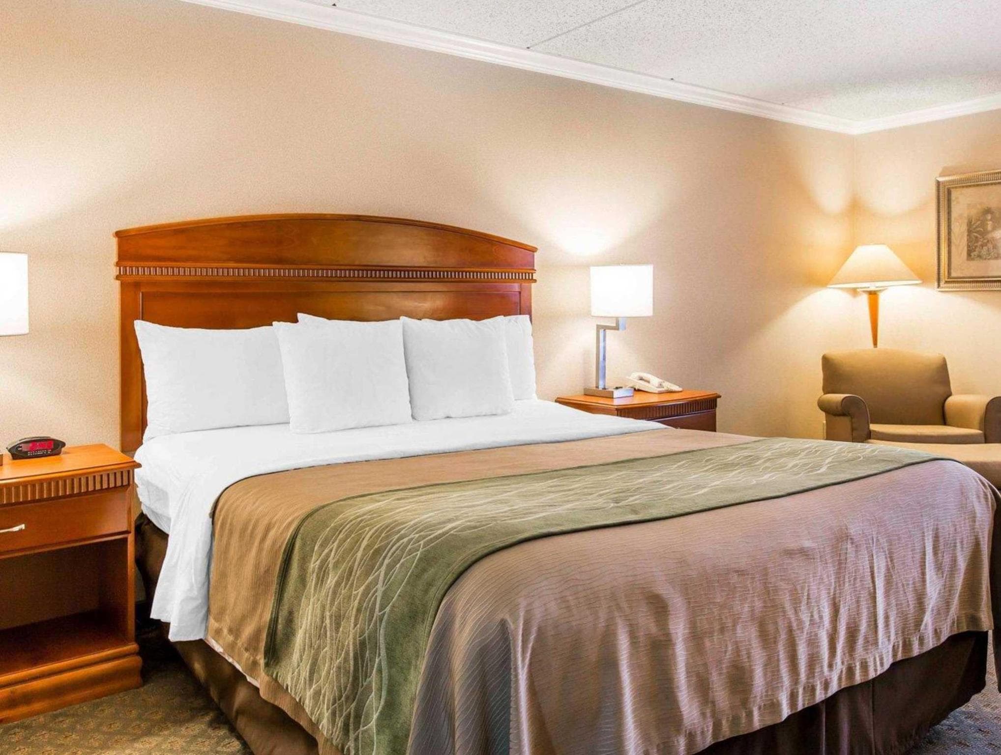 Comfort Inn Anaheim Resort photo 3