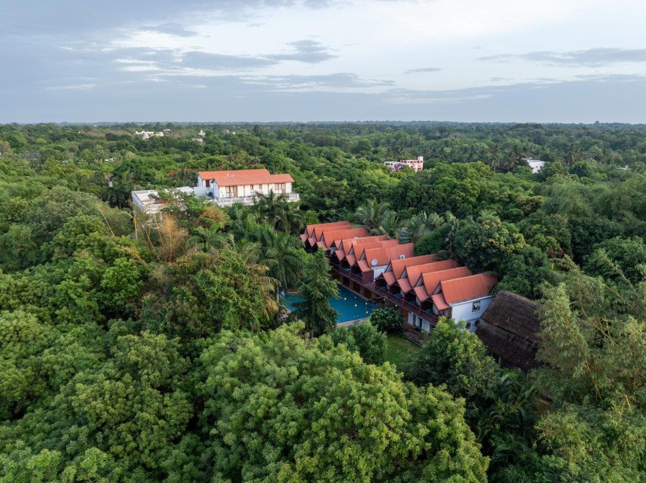 Mango Hill Auroville Pondicherry photo 3